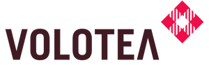 Airline logo 4